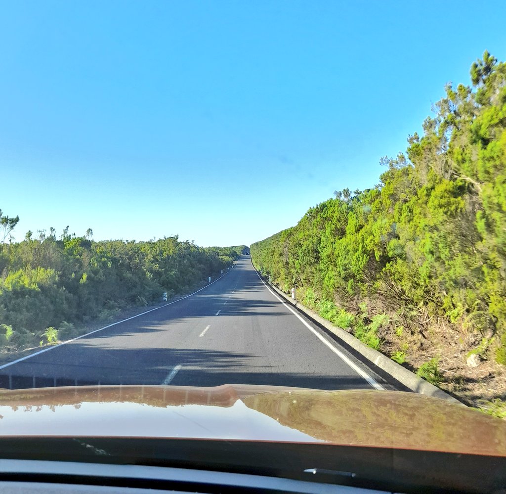 Sílvia Correia tweet media