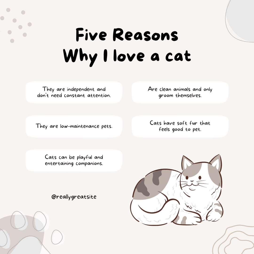 ReadingCommons's tweet photo. It's InternationalCatDay! So today we celebrate all of the kitties at Reading Commons! #HappyInternationalCatDay!
See slide 2 &amp; 4 and let us know in the comments....
- Why do you love your cat? 
- What type of cat do you have? https://t.co/1t9u0eeS24