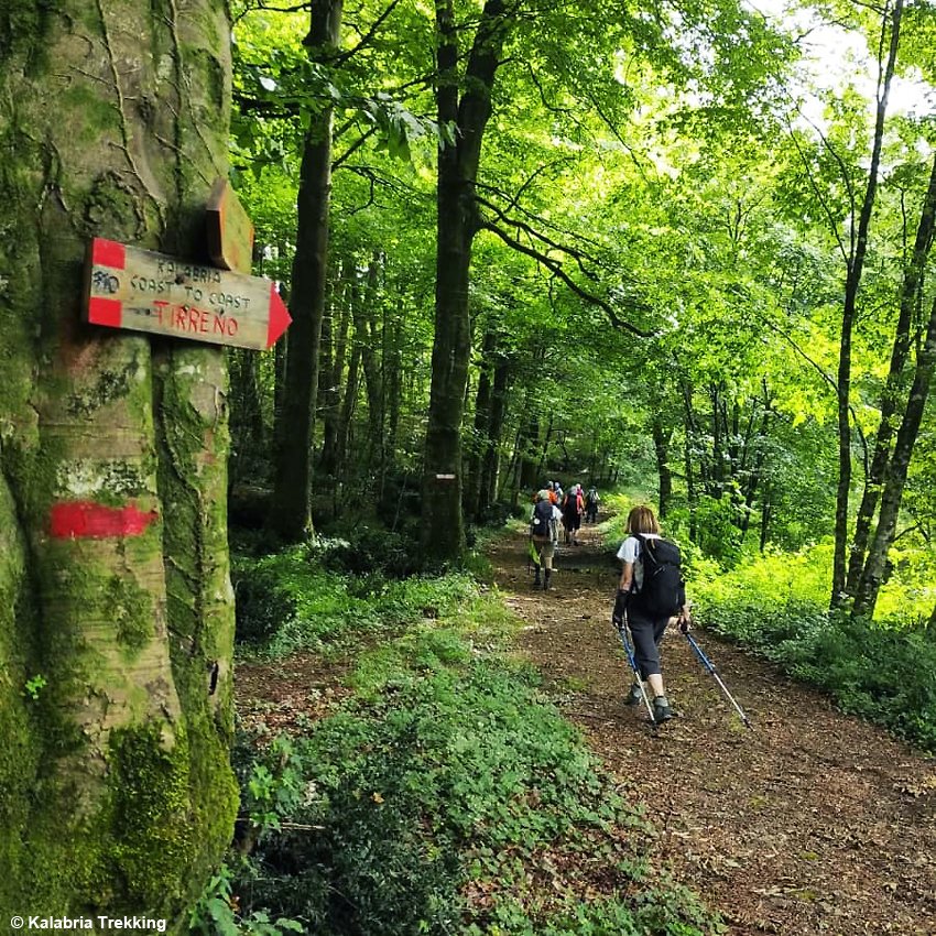 CALABRIA | Dallo Ionio al Tirreno: con il Cammino Kalabria Coast to Coast emozioni e suggestioni dalla Costa degli Aranci alla Costa degli Dei 
Leggi la notizia shorturl.at/txOXZ

#calabria #trekking #turismo #camminokalabriacoasttocoast #kalabriatrekking  @KalabriaTrekk