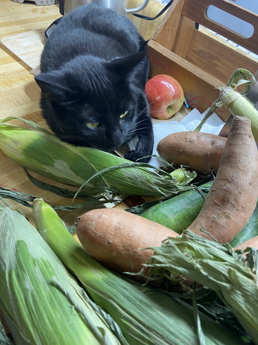 her ass is not a vegetable!