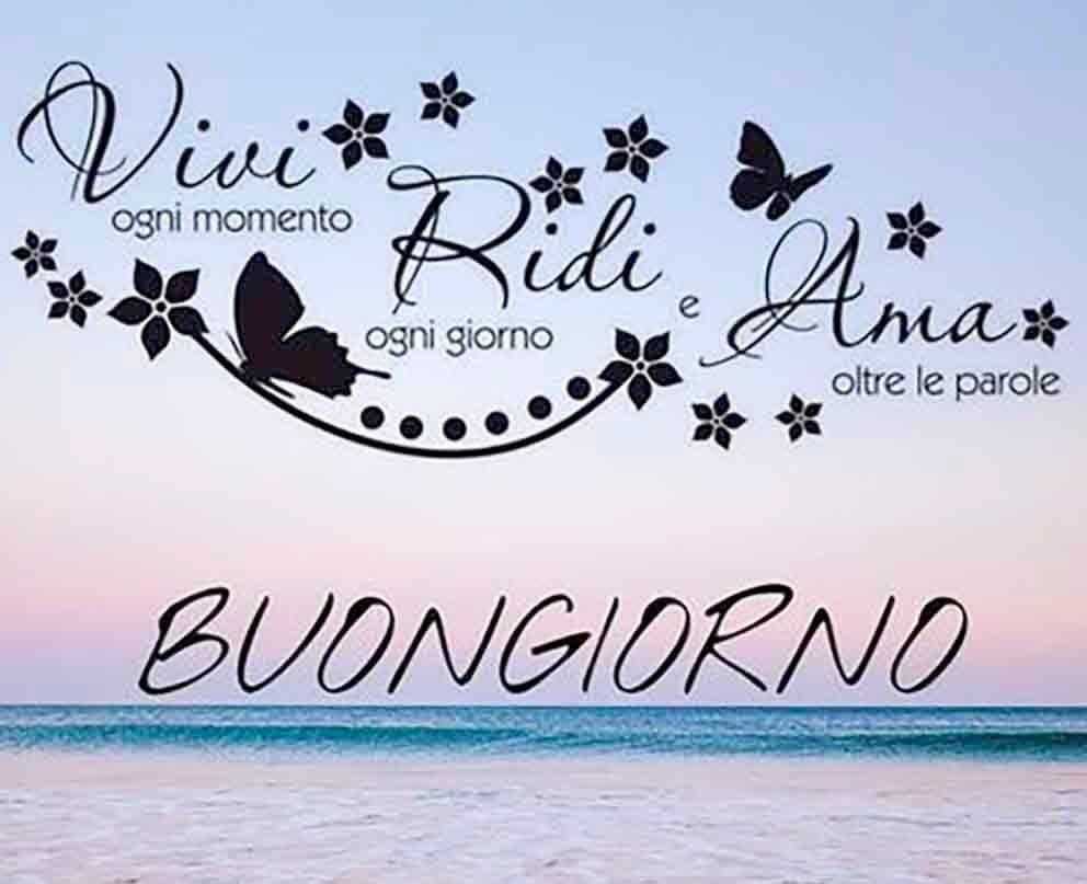 lanotte1's tweet photo. @PellegrinoPatt Sei un sogno bellissimo e meraviglioso un bacio dolcissimo e monello là dove il paradiso profuma di donna https://t.co/rdsFrq8LTw