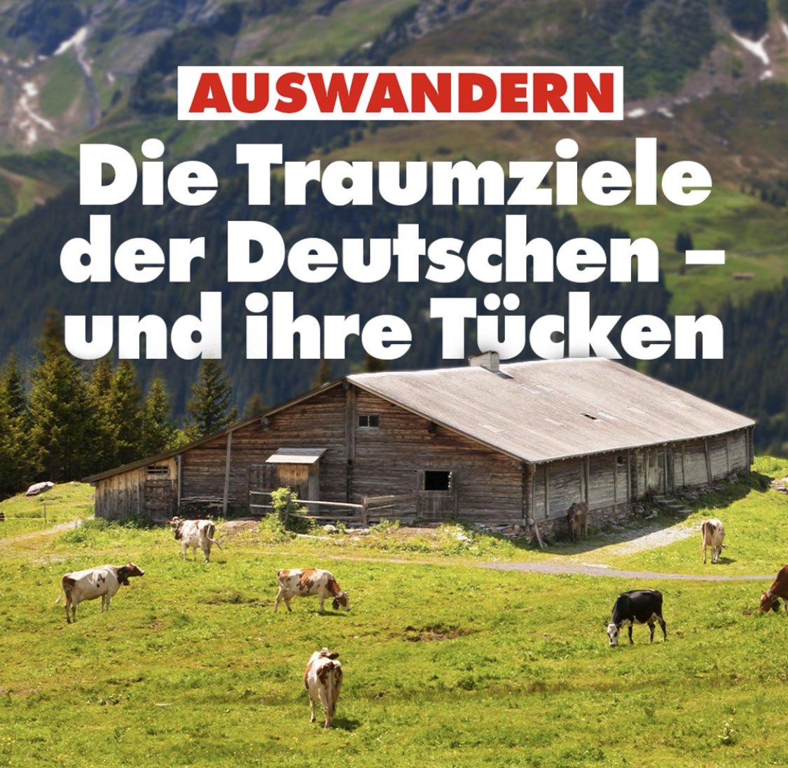 ainyrockstar's tweet photo. Wie vielleicht einige von euch schon auf der Nius-Seite bemerkt haben, haben wir und gestern und heute dem Thema Auswanderung gewidmet. Denn Fakt ist: Immer mehr Deutsche sind in den letzten Jahren ausgewandert oder planen es. Viele fragen sich aber auch: Wo kann man hin? Deshalb habe ich mich mal mit dieser Frage befasst und einige der beliebtesten Ziele der Deutschen plus drei andere mögliche Auswanderungsziele aufgelistet und für euch beschrieben, was die Vorteile und Nachteile an diesen Ländern sind. 

https://t.co/VMCxnkFCQR