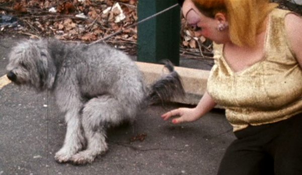 menonfilmpod's tweet photo. Problem Child 2 (1991) & Pink Flamingos (1972)
#SideBySide #lecinema https://t.co/15yhViqxFl