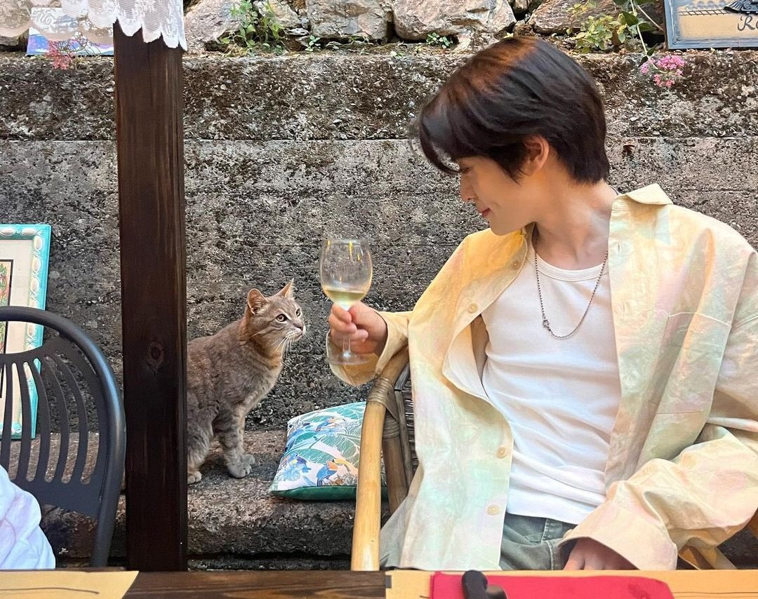 dazaismid's tweet photo. that's exactly how i imagine dazai act with cats just looking at them kindly with a soft smile on his face im gonna faint https://t.co/0CsG3afhLe