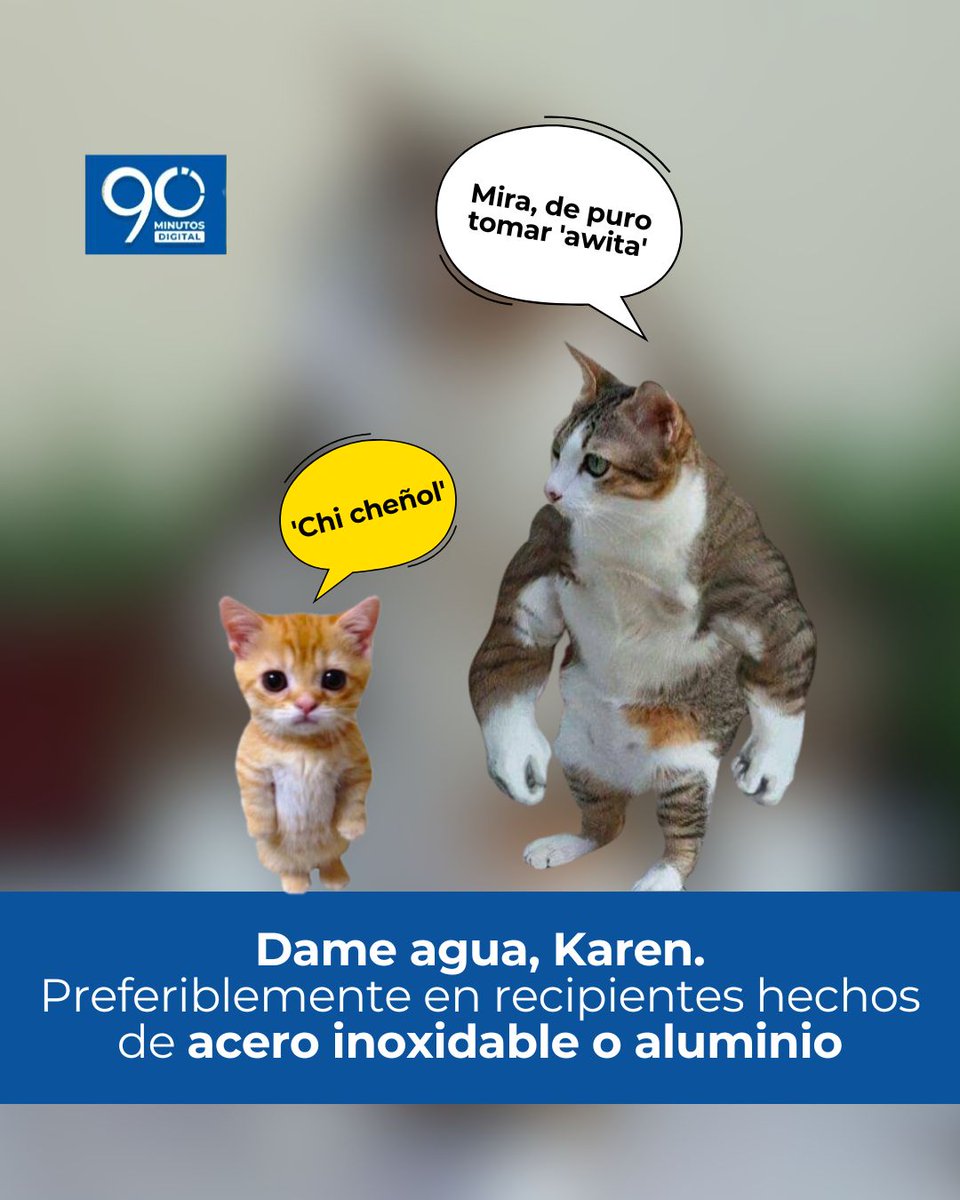 Noti90Minutos's tweet photo. #Noti90 Oye Karen👂, como yo soy tan importante para el mundo🌎🐈, hoy se celebra uno de mis tres días especiales en el año 🥳🎉. Aquí te dejo algunos #MichiTips tan innolvidables como yo
Y lo más importante, no te olvides de mis regalos🎁
#DíaInternacionalDelGato
HILO 🧵 https://t.co/l6zcdtliyl