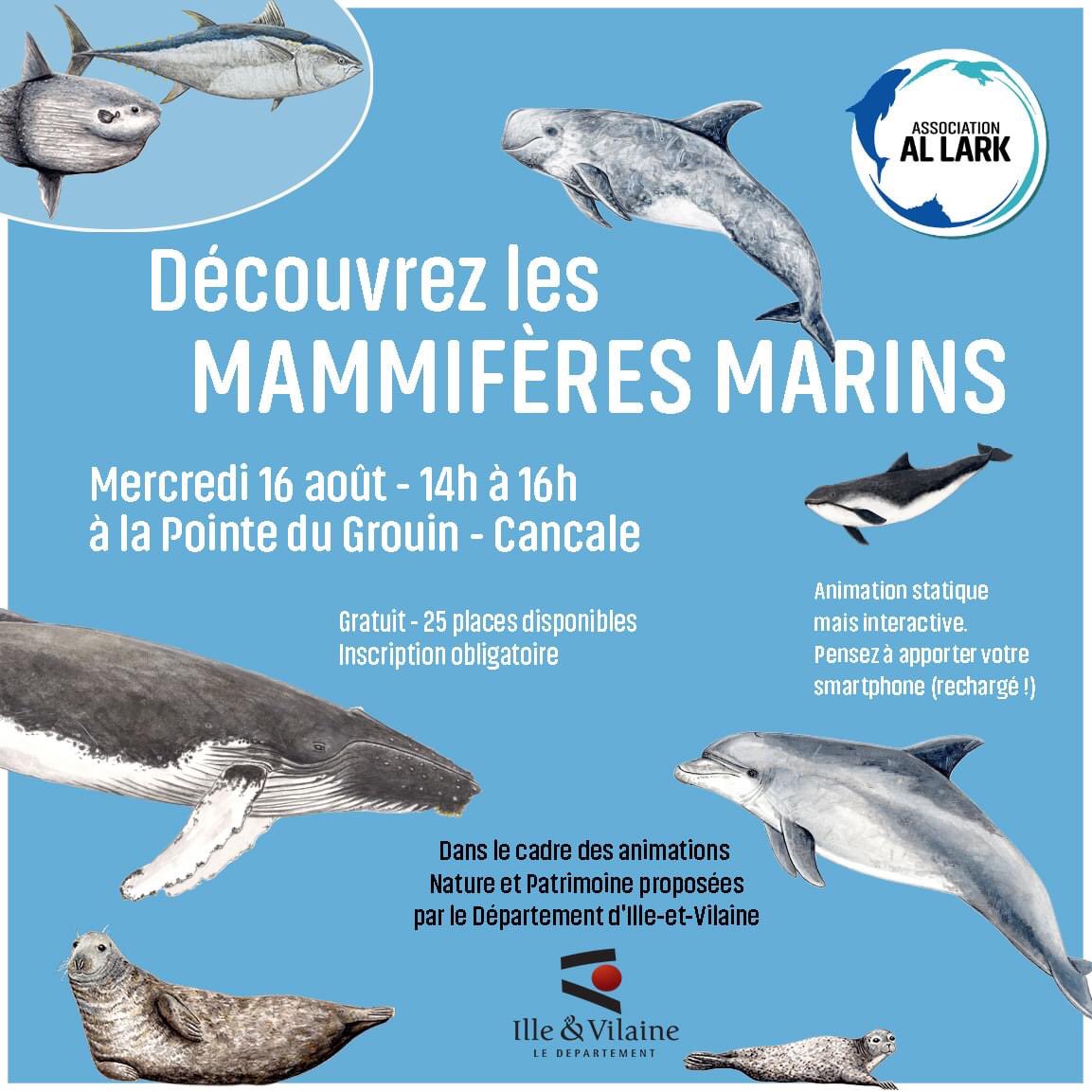 Allark35's tweet photo. 🗓️ Notre prochain RDV à la pointe du Grouin dans le cadre des animations "Nature et patrimoine" proposées par @ille_et_vilaine :
une découverte ludique et interactive des mammifères marins de la baie du #MontSaintMichel.

Plus d’infos &amp; programme complet : https://t.co/VxrTaDurKe https://t.co/fOqIBsuS9Q