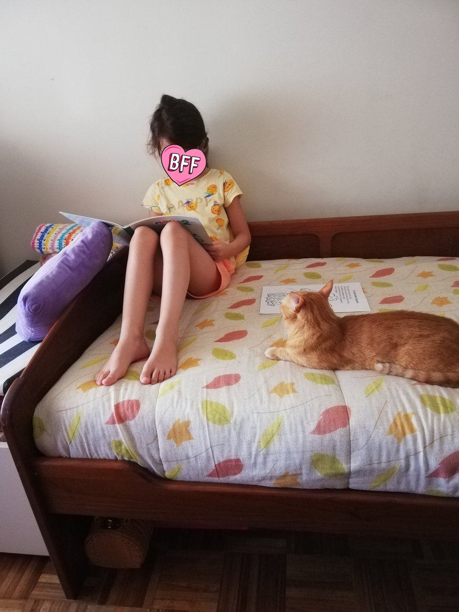 katy239's tweet photo. Com atenção à professora.

ninja #bff https://t.co/PCPIgWcDmb