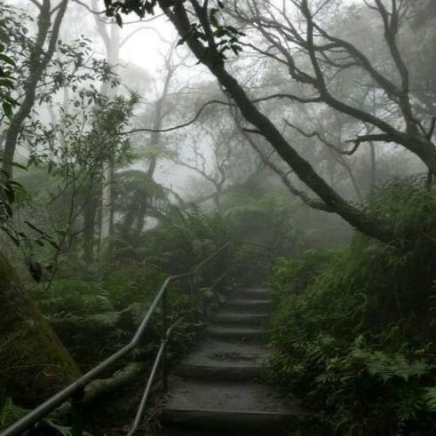 gIoomyweather's tweet photo. gloomy day. https://t.co/M1Aq4Oyrpc