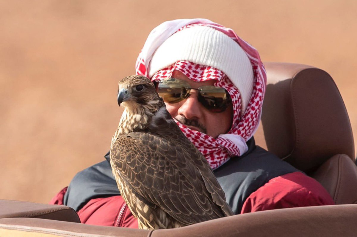 زبن بن عمير tweet media