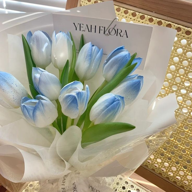 Wendelq31's tweet photo. HBD TO YOu my Sweet Tulipán 
#25thShiningFreenDay 
#Happy25XFreenLATAM 
#srchafreen https://t.co/OVJe4EqKbV