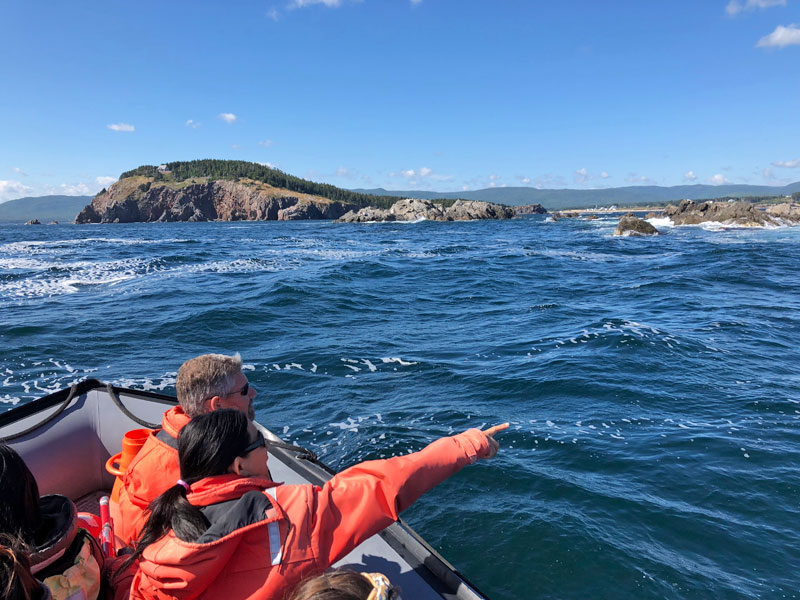 Zip along the rugged shores in search of whales, dolphins, seals, leatherback turtles, puffins, eagles and more with Keltic Express Zodiac Adventures! Sure to be the highlight of your vacation! #VisitCapeBreton #Unamaki #VisitNovaScotia