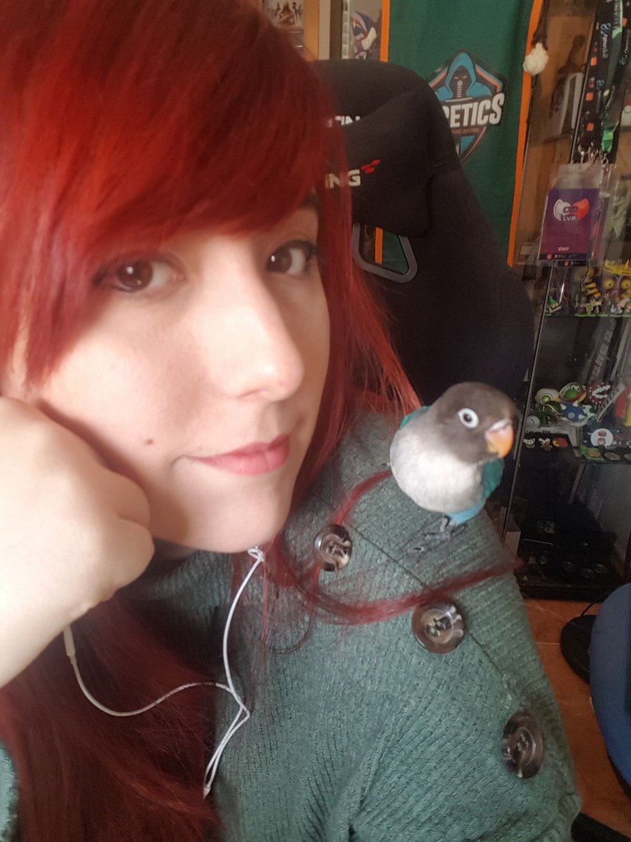 Liss Dark tweet media