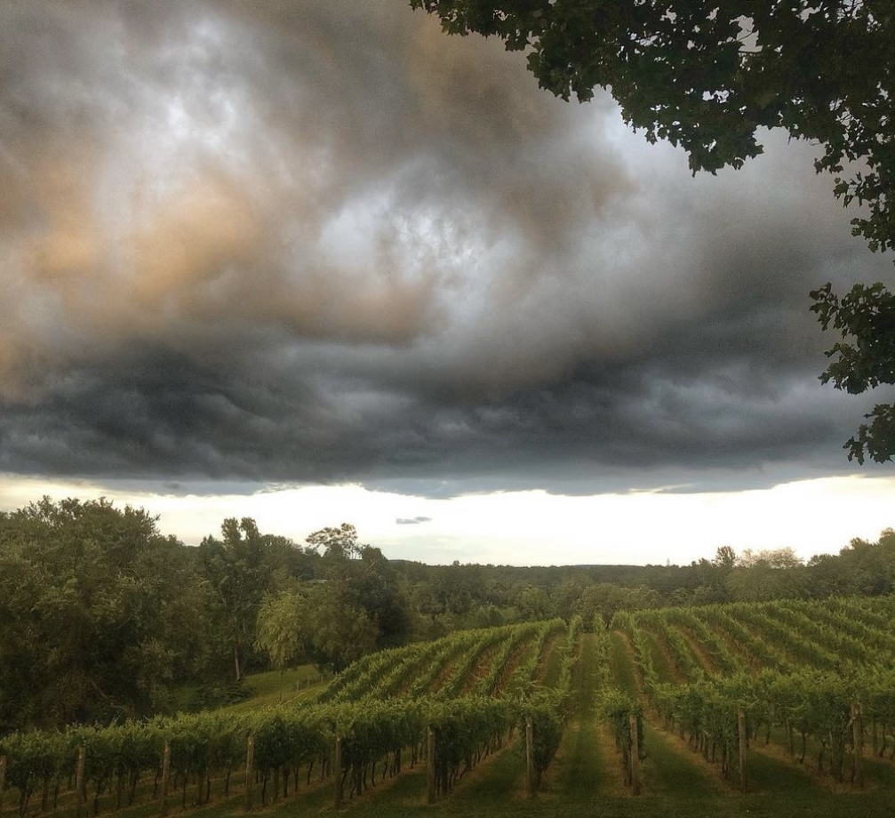 Even with passing summer thunderstorms, #vawine country is beautiful. 

📷: Lovingston Winery