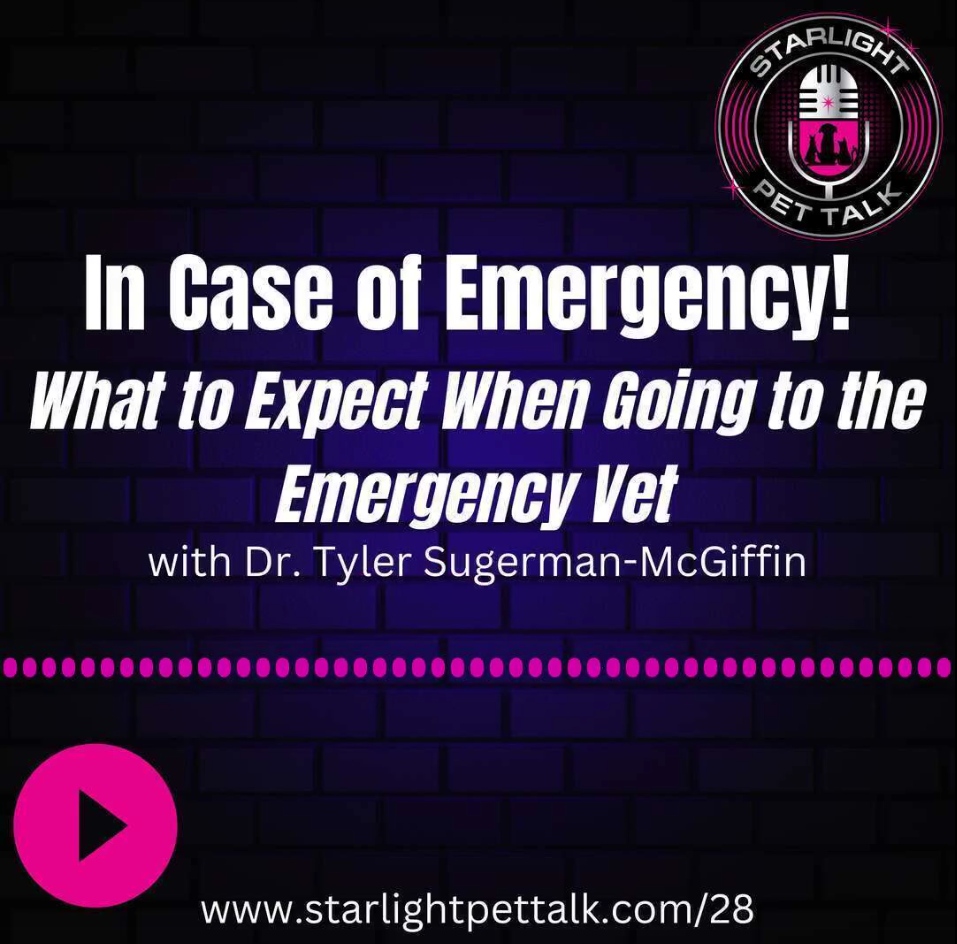 I was a featured guest on another informative pet podcast. In this episode from Starlight Pet Talk about what to expect when taking your pet in for an emergency. Be sure to subscribe and support Starlight if you enjoy the content.
starlightpettalk.com/28
youtu.be/hfsMrRz9yrY