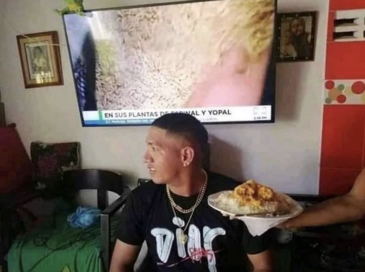 yo en casa ajena fingiendo que no sé qué viene la comida