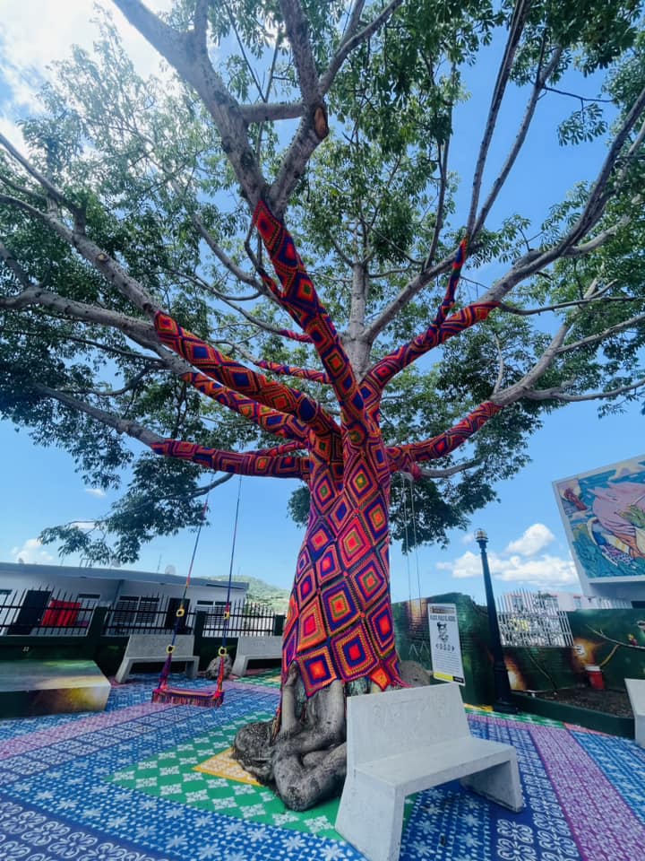 YAUCO | Primer árbol tejido de Yauco, como parte del proyecto Yaucromatic de Arte Para Unir, ubicado en la calle Manuel A. Negrón. | Fotos: Arte, Cultura y Turismo Yauco