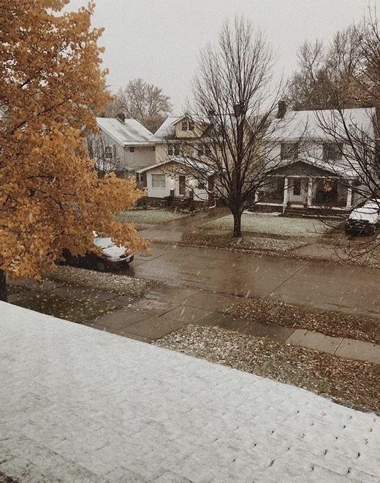 fallvibes23's tweet image. Fall is coming