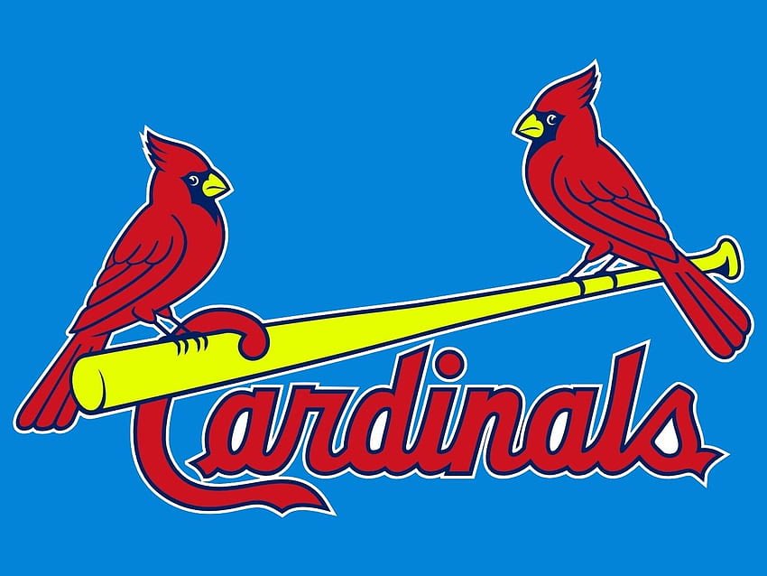 RyanMelnick_'s tweet photo. I am pleased to share that I will be joining the @Cardinals Biz Strategy &amp; Analytics team. Thank you to everyone who guided me along the way! Honored to be a part of this storied franchise, and I look forward to furthering my journey in the professional sports field! #STLCards https://t.co/Gi1NHzsBXN