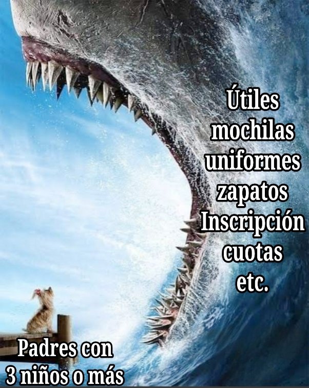 Mentira no es
#escuela #regresoaclases #utilesescolares #vacaciones