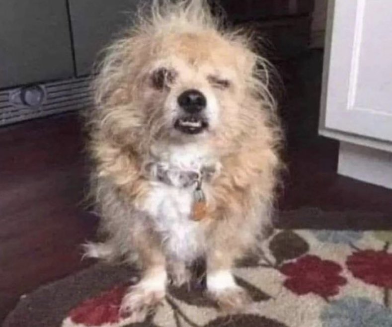 - que semana tan pesada
- recien es martes