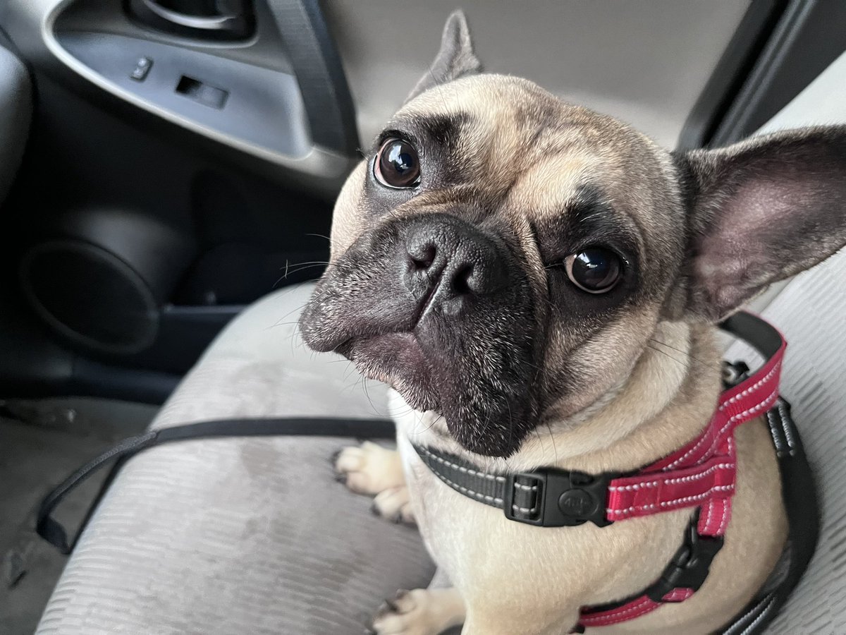 Ruby update.