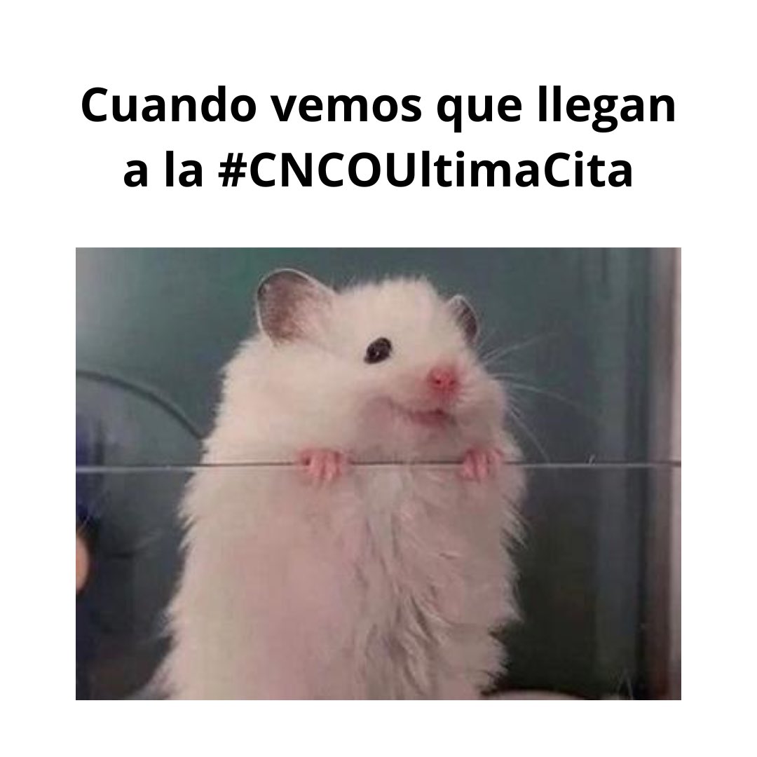 CNCOmusic's tweet photo. 😂😂😂 https://t.co/Ksm8TSa1zx