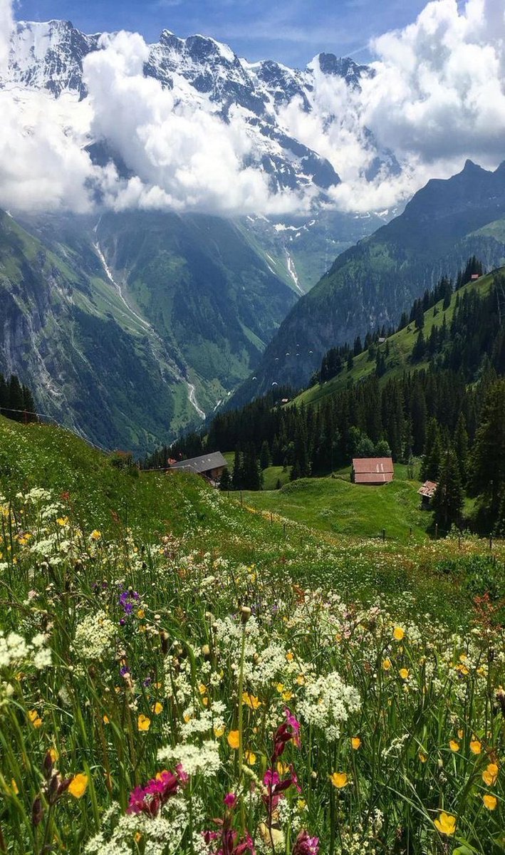 ㅤㅤㅤ

               ❲   義勇.  ╱    sns update   ❳ ͏͏͏͏͏͏ 
                  ⲷ  2023年 08月 09日  ◡̈

                  ❛ Everything is so dreamy.🇨🇭
                     
ㅤㅤㅤ