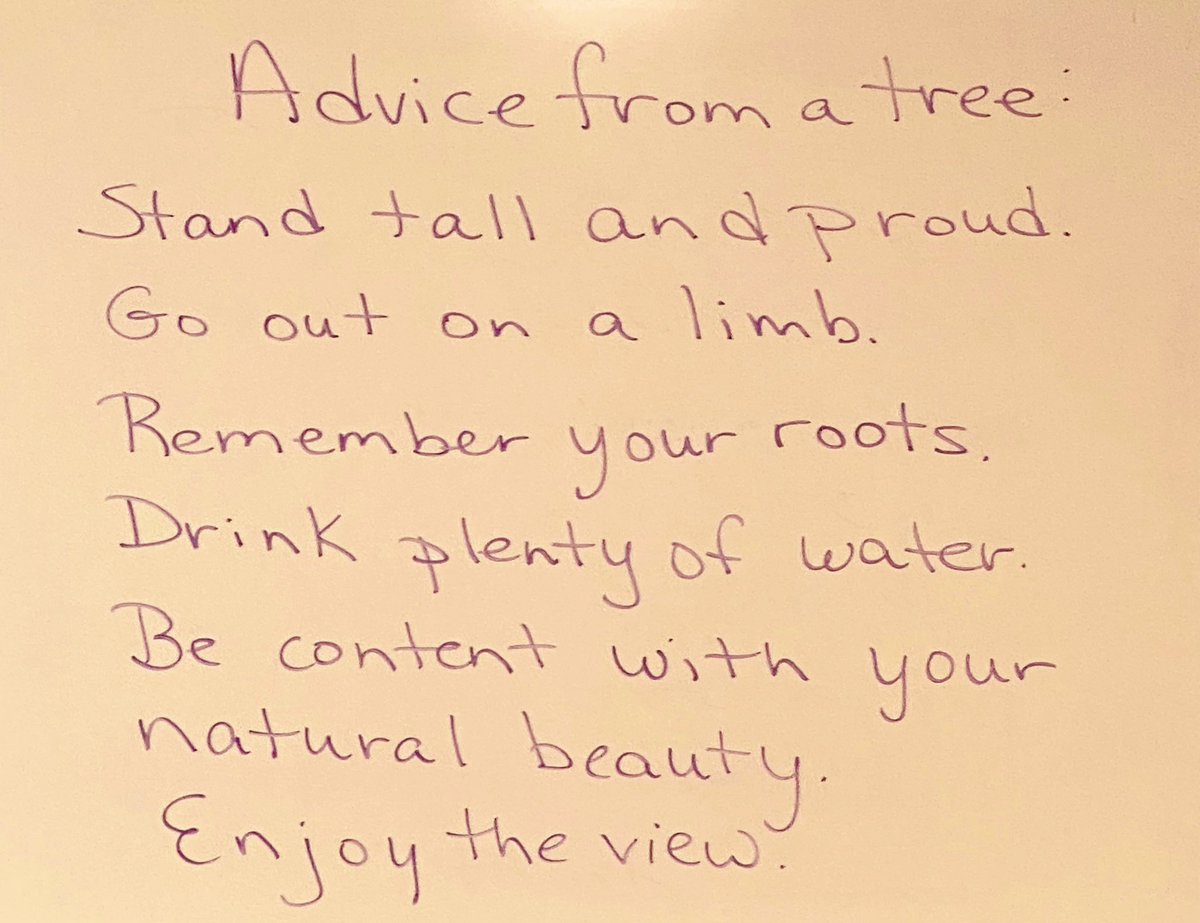 Today’s #Baldwin5 #WallofWisdom at @MayoClinic! 🤗 Advice from a 🌳. So appropriate!!!