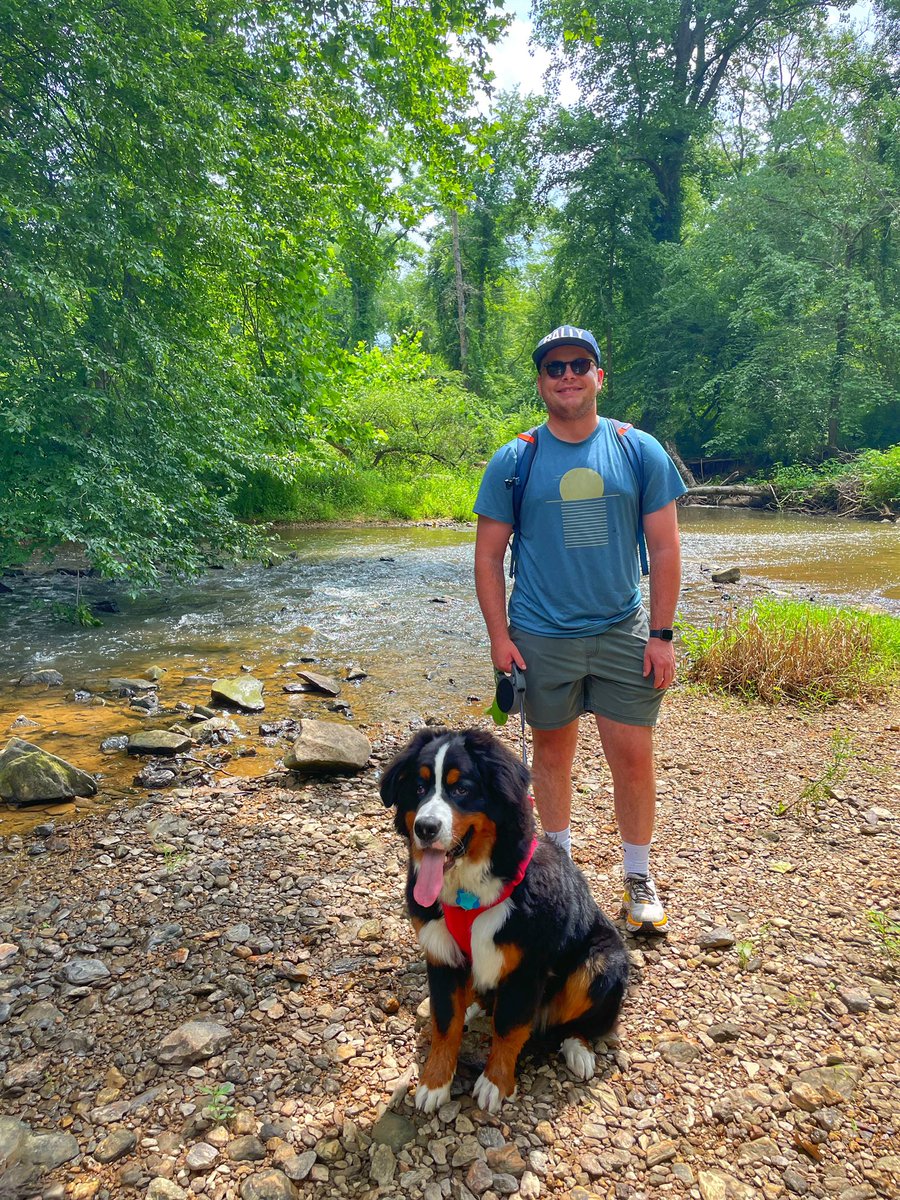 QuirkDrew's tweet photo. @contextdogs Murphy https://t.co/Ms88uXo2s6