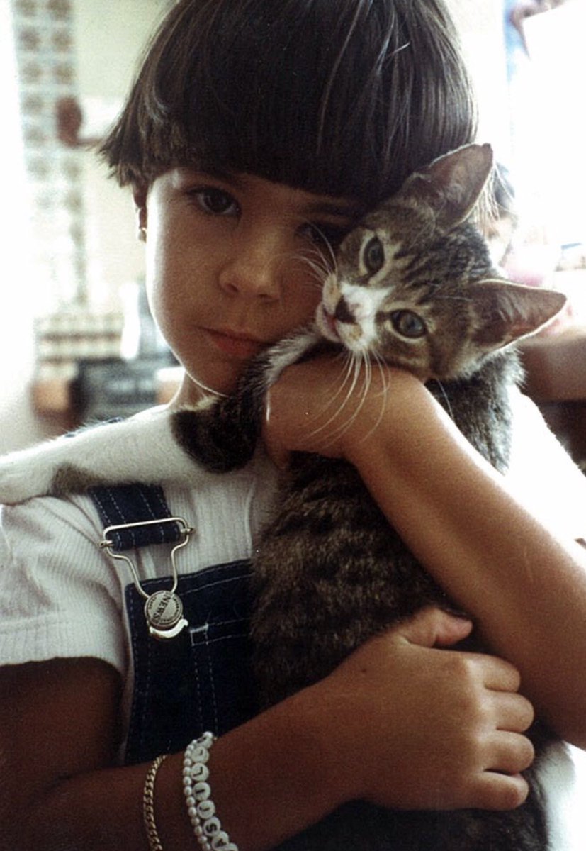 mluiscas's tweet photo. Feliz día internacional del gato https://t.co/GZGCneC5Jc