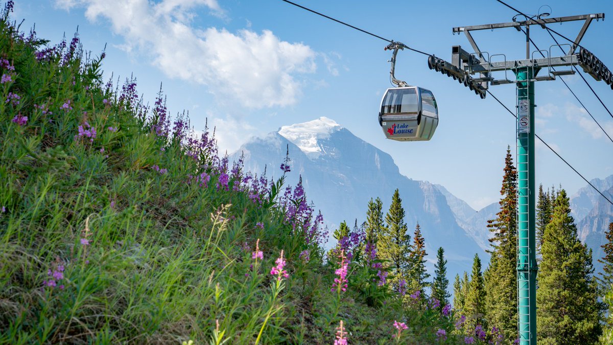 Looking for some insider tips for visiting Lake Louise? Check out this article 👇  
bit.ly/3Kxep3K

#lakelouise #skilouise #justlakeit