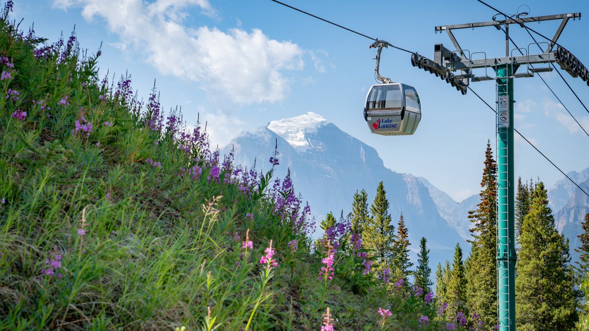 Looking for some insider tips for visiting Lake Louise? Check out this article 👇 bit.ly/3Kxep3K #lakelouise #skilouise #justlakeit