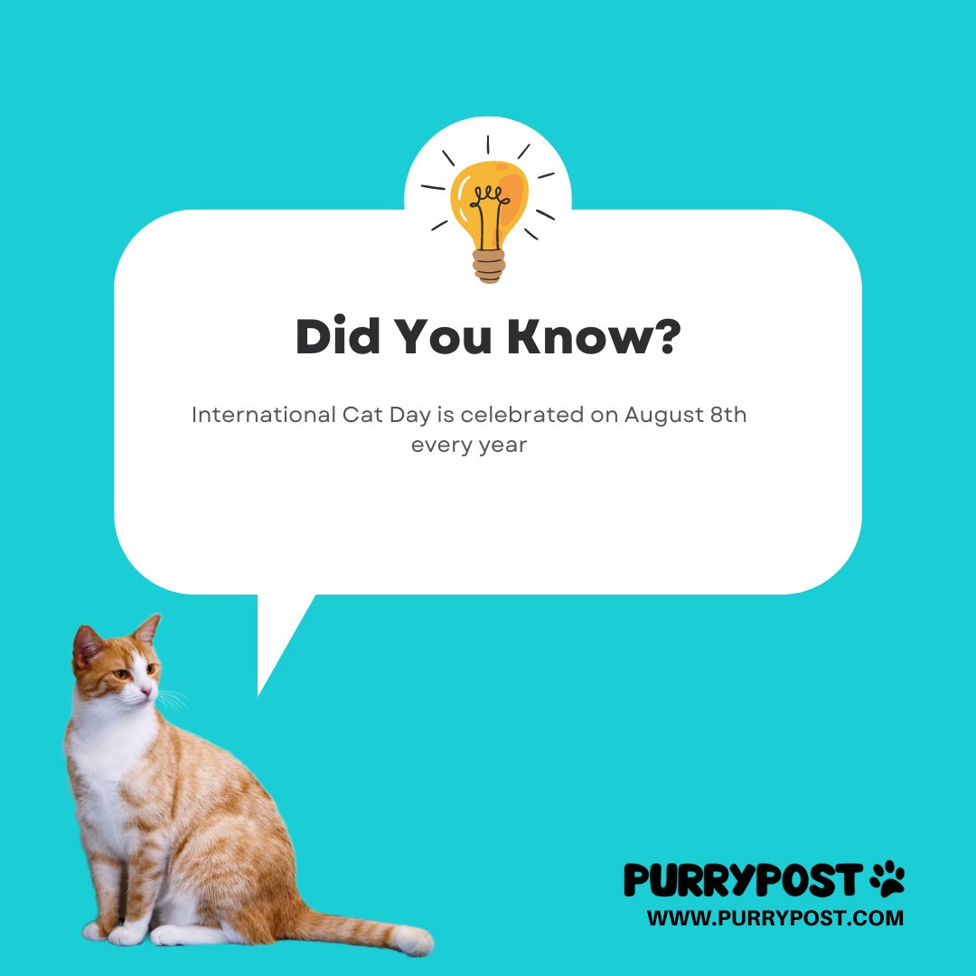 PurryPost's tweet photo. 🐾 Did you know? August 8th is a day dedicated to our fabulous feline friends – International Cat Day! 🎉 Let's celebrate the whiskered wonders who bring joy and charm into our lives. Meowvelous, isn't it? 😸❤️ #InternationalCatDay #WhiskerWisdom https://t.co/0IF4agRBVc