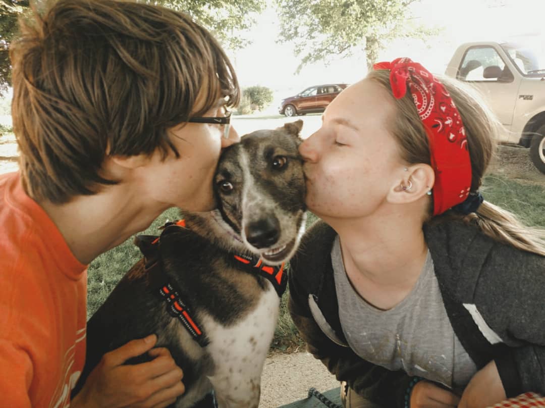 Ms_WattsUp's tweet photo. Give Pepper a fighting chance to stay with us a little longer, please. 🩷🧡 She's not ready to go. We love her so much. https://t.co/O3td7KxJyn https://t.co/u7tgHpuMKK