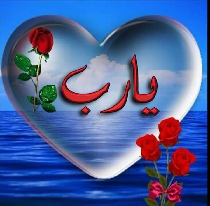 في فجر يوم الاربعاء
آللهم انا نسألك بفضلك وعظمتك وجلالك وقوتك وجبروتك وبأسمائك الحسني وصفاتك العلي ان تفرج همومنا وان تقدر لنا الخير فيما يرضيك
وإن تظلنا بظلك يوم لا ظل إلا ظلك
اللهم لا تدع لنا ذنبا الا غفرته ولا هما الا فرجته ولا مريضا الا شفيته ولا ميتا الا رحمته👐👐-