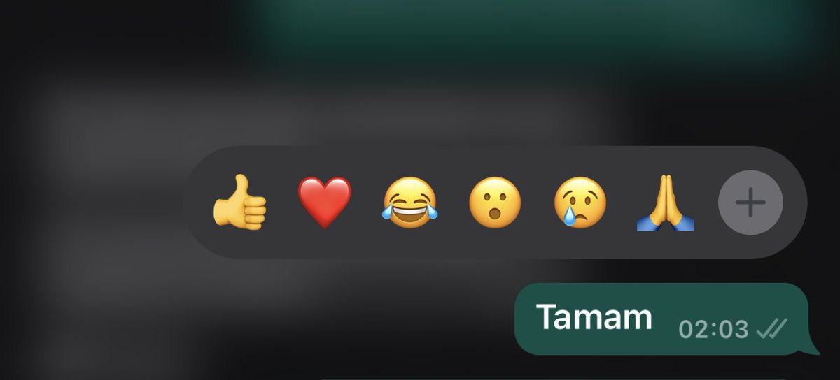 Sadece tamam yazıp siktiri çekin aşkolar ….