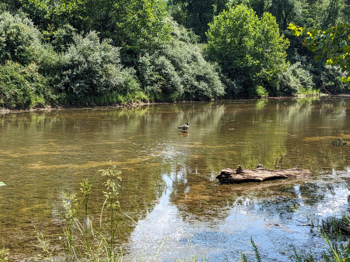 Cyberwatch NFTs tweet media