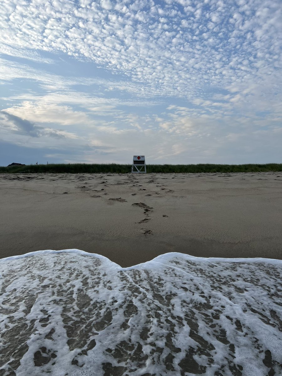 Elisabeth Sweet tweet media