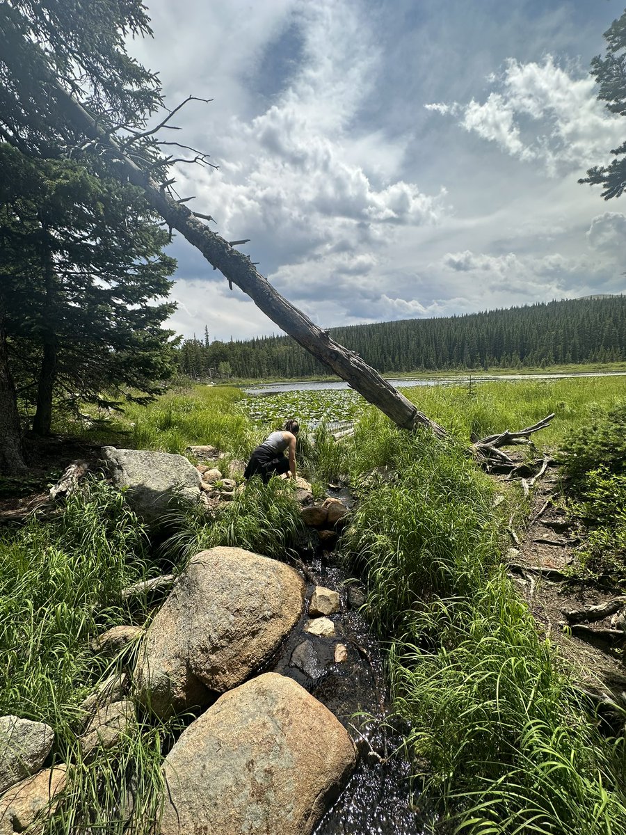 JacobPawley's tweet photo. Always a fun time showing a new lab member ‘sponge lake,’ our lovely field site 🧽⛰️🦑🏔️🙂

@haleyrwom #sponge #Colorado https://t.co/G6RAMP96Yx