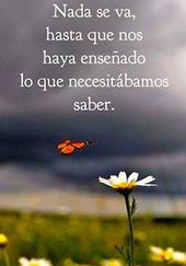 Excelente tarde ☘️