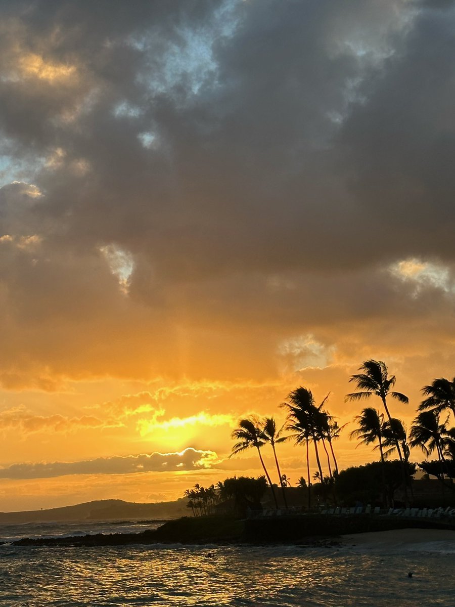 Robert Chan (@area2srs) on Twitter photo 