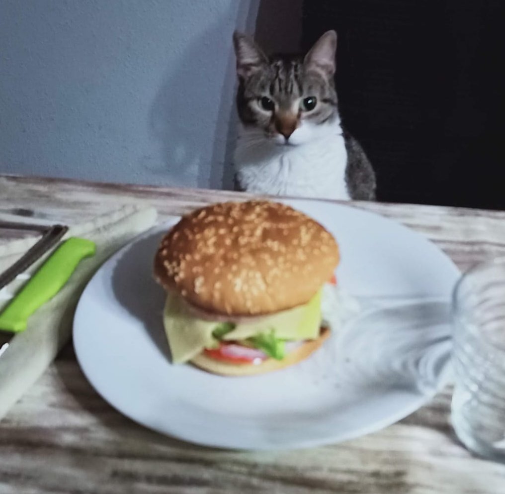 FlameOfQueen's tweet photo. Silly catto 🩷
#DiaInternacionalDelGato https://t.co/bghj9wmF2d