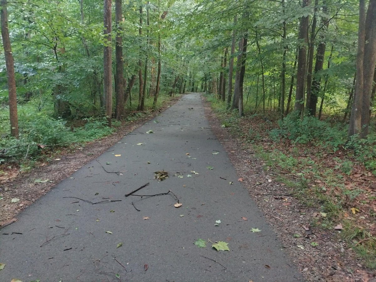 AccotinkFriends's tweet photo. Good Morning from Lake Accotink Park. The trails have been cleared, come on out for your much needed break. Yes, the water is full of runoff from up stream. See you on the trail! 

#fairfax #FLAP #lakeaccotink #FCPA #FCPS https://t.co/0aRxnFnrxf