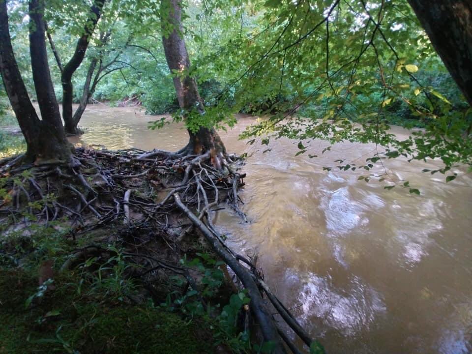 Good Morning from Lake Accotink Park. The trails have been cleared, come on out for your much needed break. Yes, the water is full of runoff from up stream. See you on the trail! 

#fairfax #FLAP #lakeaccotink #FCPA #FCPS