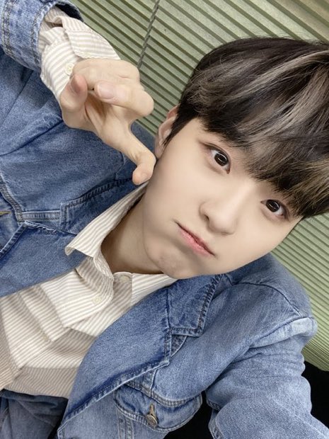 농담곰 tweet media