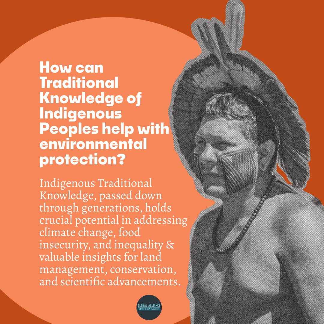 globalalliancet's tweet photo. Learn about how Traditional Knowledge (TK) plays an integral role in environmental protection.
💌 Retweet to support the Indigenous Peoples and Local Communities movement. 
📷 Ivania Alvarado 
#GuardiansofTomorrow #IndigenousPeoplesDay https://t.co/GY9uvvRHkx