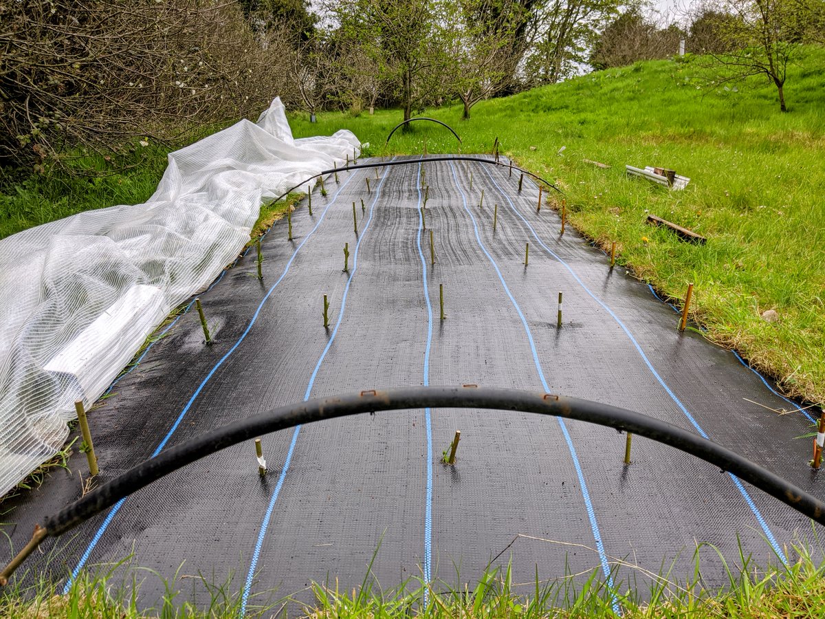 Smallholders Ireland tweet media