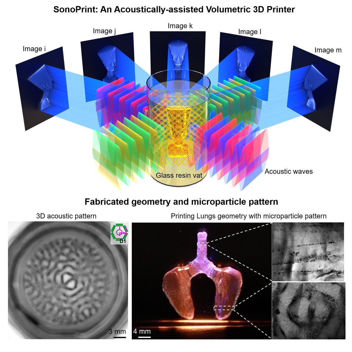 Ever since I joined <a href="/DanielAhmedARSL/">Daniel Ahmed</a>'s lab, we have been exploring ways to manipulate composite properties using additive manufacturing and sound energy. 

Here we introduce SonoPrint: An acoustic (sound) assisted volumetric 3D printer for composites.

biorxiv.org/content/10.110…