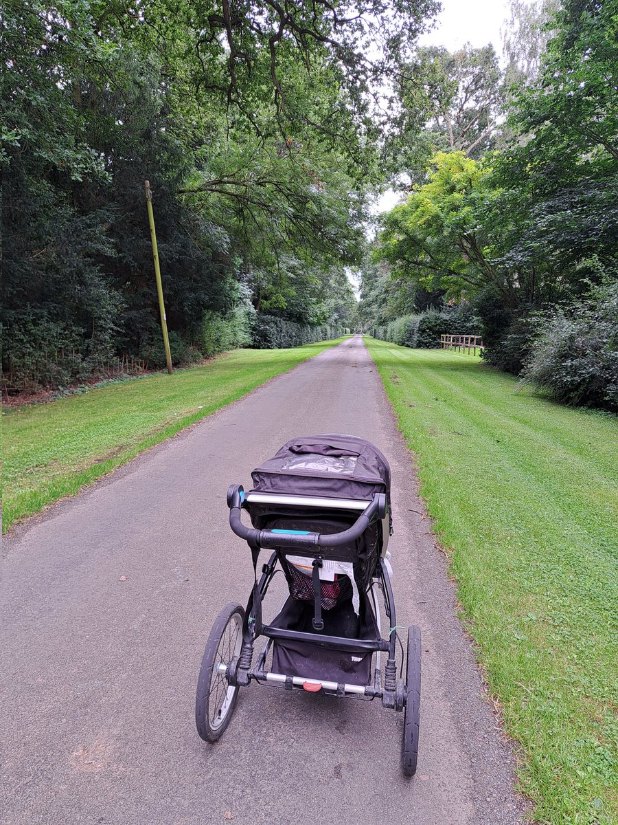Must be the school holidays! I've resorted to pushing 37kg of child plus buggy to get a run in. Good bit of strength training 💪 and I have been missing our adventures. If only she were still a light toddler! #buggyrunning #ukrunchat