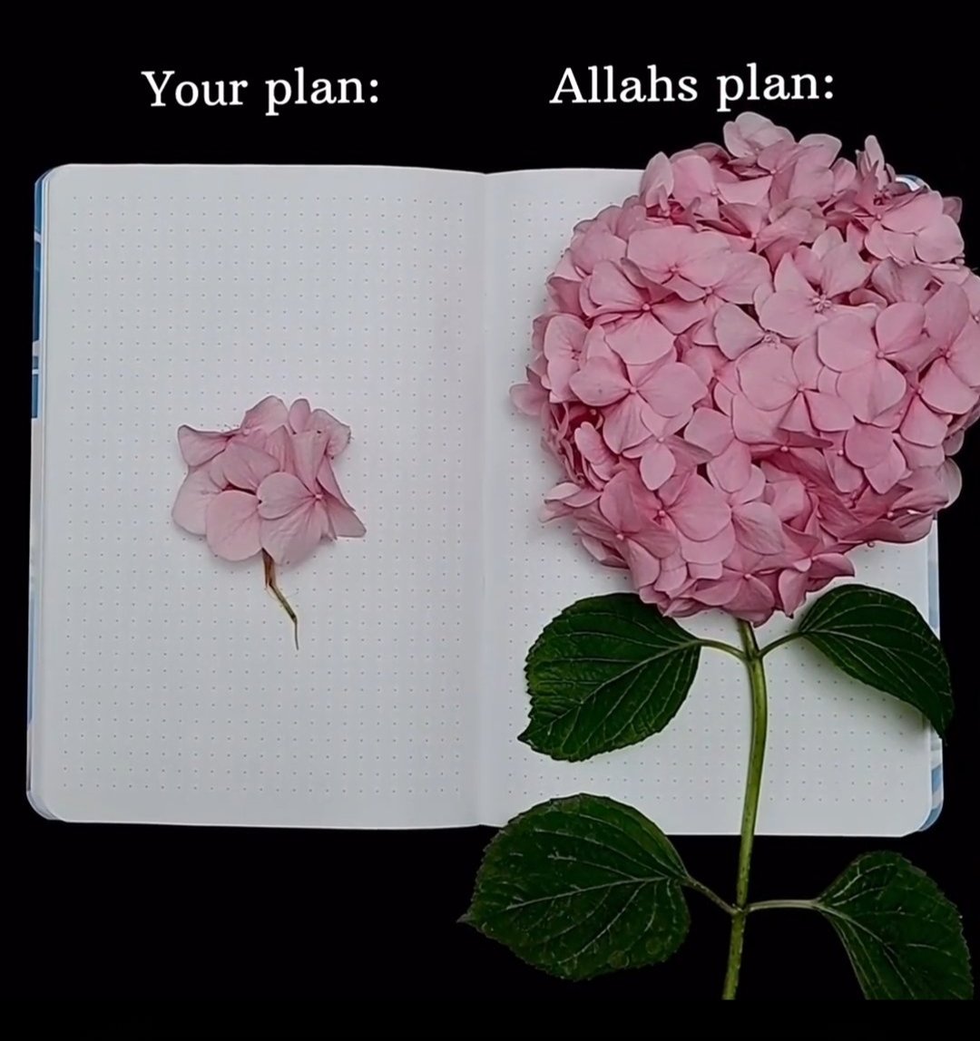 queensana_18's tweet photo. Be patient, Allah must have something better for you, Allah has a plan for you. https://t.co/rF5lKuLS1G
